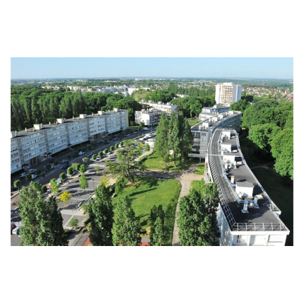 Chantier participatif pour réhabiliter l'espace forestier du Bois des Roches à Saint-Michel-sur-Orge