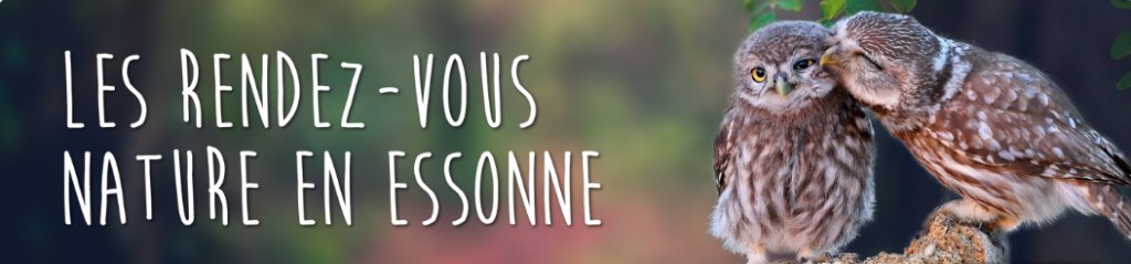 Les Rendez-vous de l’automne vous attendent !