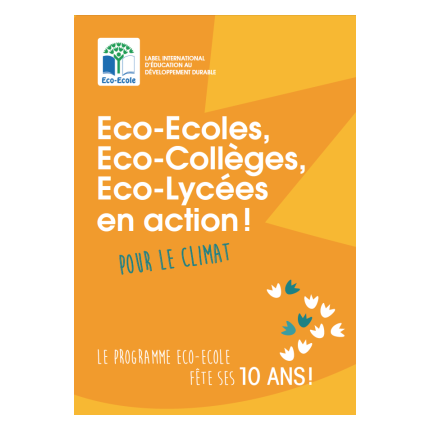 Eco-Ecoles en action !
