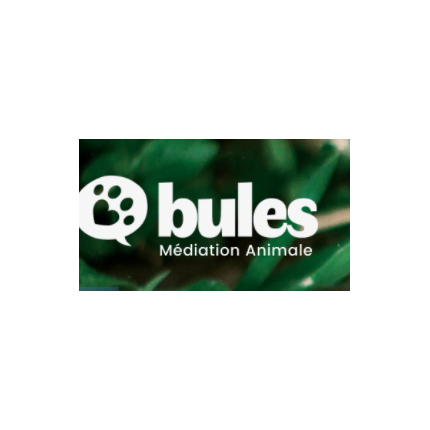 L'association Bules organise sa première collecte de fonds pour lutter en faveur de l'inclusion sociale