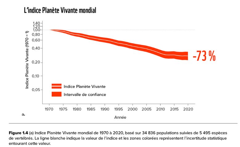 Rapport Planète Vivante 2024 : Protégeons notre biodiversité, en danger !