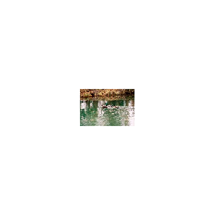 GESTION DURABLE D'UNE RIVIERE : L'ORGE