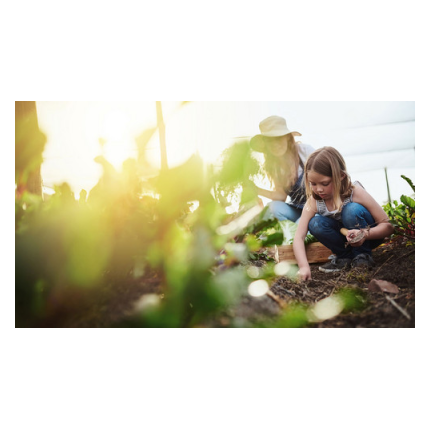 Avis de publicité - Fête des Jardins naturels sensibles 